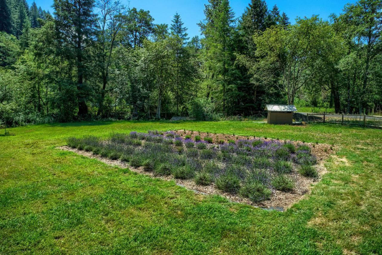 Angels Rest B&B Lavender Farm Skamania Εξωτερικό φωτογραφία
